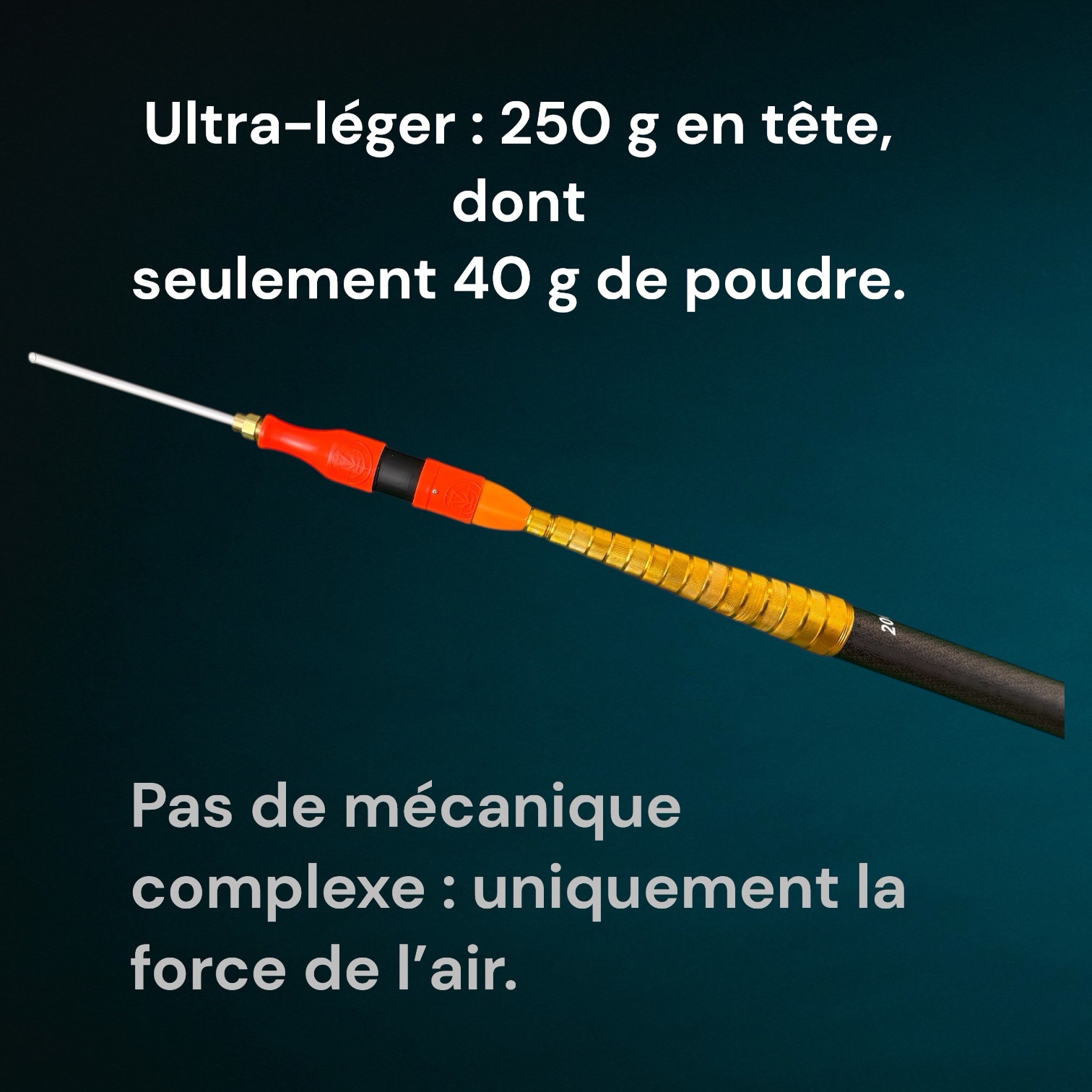 DHP40-T20 – Perche télescopique 20 m – Image 3